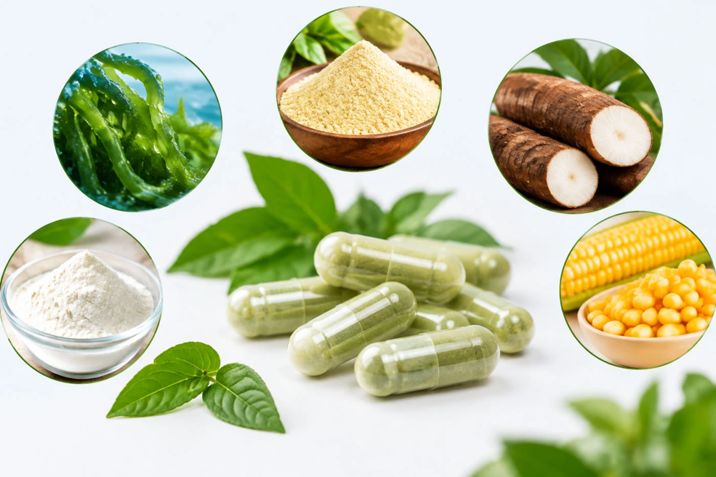 Empty-Vegetable-Capsules Empty-Vegetable-Capsules