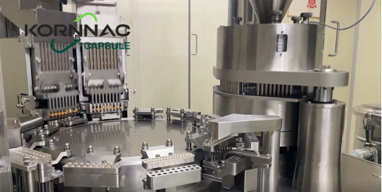 What is the Working Principle of a Capsule Filling Machine?