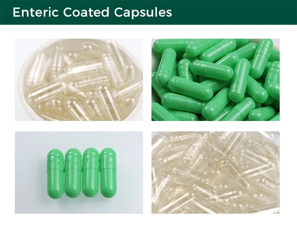 Enteric Coated Capsules Enteric Coated Capsules
